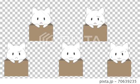 A white cat character that goes into a box and makes various facial expressions A white cat character that goes into a box and makes various facial expressions 70639235