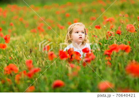 Beautiful child picking flowers in poppy field 70640421