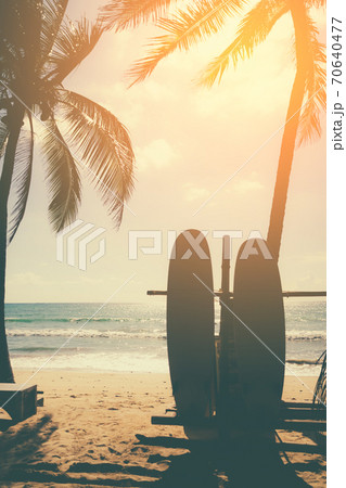 Surfboards beside coconut trees at summer beach. 70640477