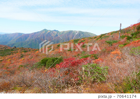 紅葉の茶臼岳裾野と130年前の噴火で枯れた木 紅葉の茶臼岳裾野と130年前の噴火で枯れた木 70641174