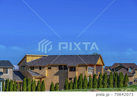 Houses and conical shaped trees against vivid blue sky on a sunny day 70642073