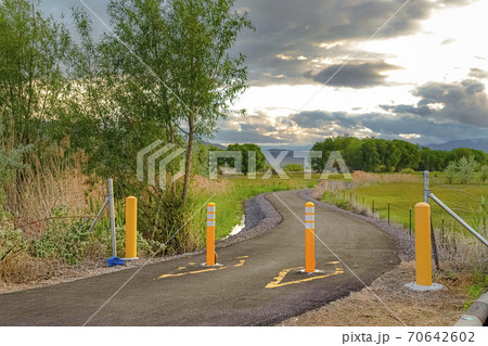 Yellow traffic delineator posts on a road with view of trees and mountain Yellow traffic delineator posts on a road with view of trees and mountain 70642602