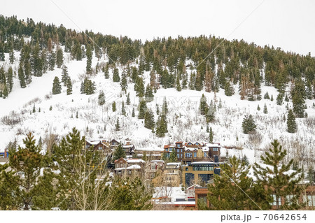 Scenic winter view of lush coniferous trees on a mountain covered with snow 70642654