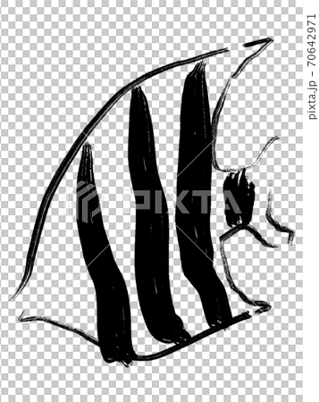 Fish illustration 70642971