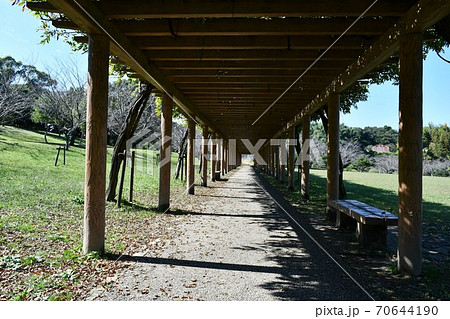 初秋の旭公園 モニュメント 竹林の道 初秋の旭公園 モニュメント 竹林の道 70644190