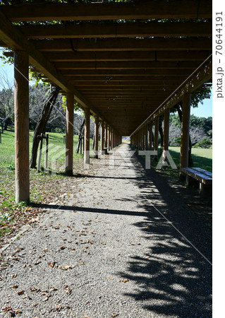 初秋の旭公園 モニュメント 竹林の道 初秋の旭公園 モニュメント 竹林の道 70644191