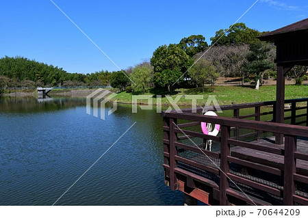 初秋の旭公園　モニュメント　竹林の道 70644209