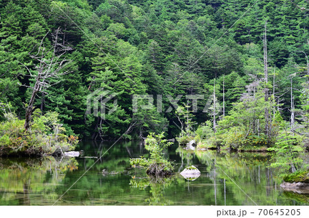 上高地_明神池の風景 上高地_明神池の風景 70645205