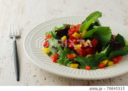彩り野菜サラダ 70645315