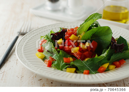 彩り野菜サラダ 70645366