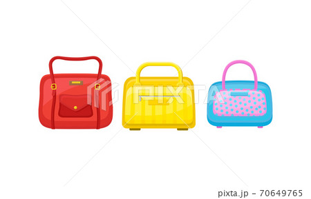 Baggage or Luggage Used for Traveling Vector Set Baggage or Luggage Used for Traveling Vector Set 70649765