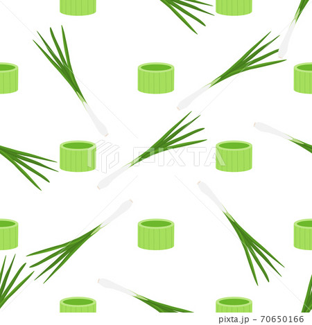 Illustration on theme of bright pattern green onion 70650166