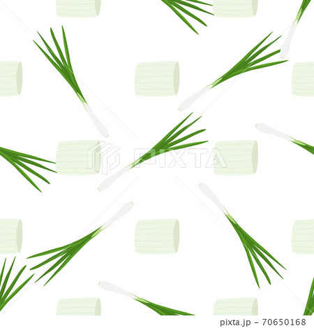 Illustration on theme of bright pattern green onion 70650168