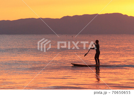 サップ鎌倉たそがれと癒し 70650655