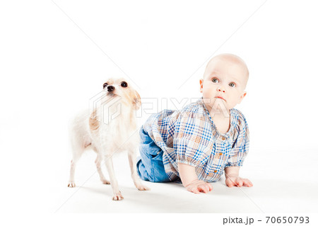 little girl lying on floor,and nearby is small dog 70650793