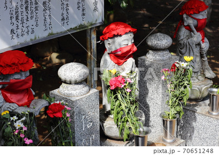赤いをした日本のお地蔵様。コロナウイルス収束への祈り。仏教の役割 赤いをした日本のお地蔵様。コロナウイルス収束への祈り。仏教の役割 70651248