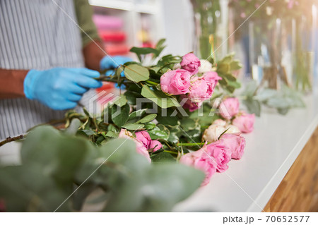 Florist with blooming roses during working day Florist with blooming roses during working day 70652577