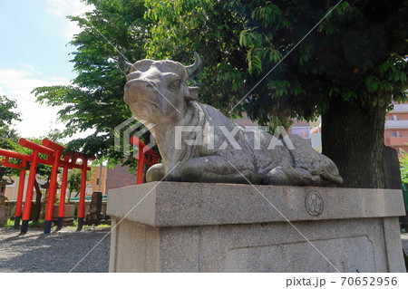 【町田市】町田天満宮の臥牛像 70652956