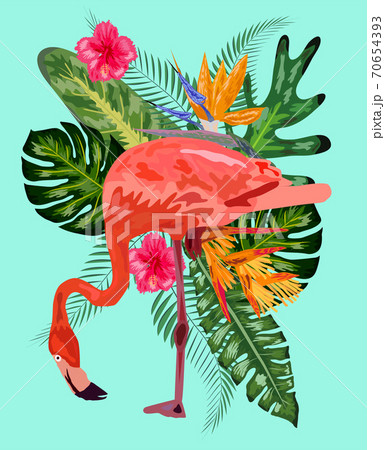 Tropical Flowers Background. Summer Design. Flamingo. T-shirt Fashion Graphic. Exotic. 70654393