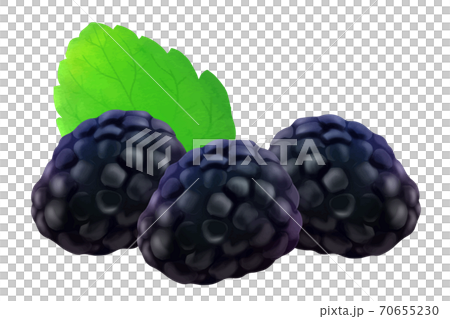 Blackberry Blackberry 70655230