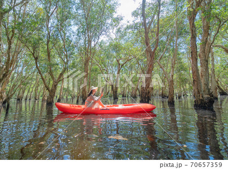 Asian woman, a tourist, reading a book on a boat, canoe or kayak with trees in Rayong Botanical Garden, Old Paper Bark Forest, tropical forest in national park in Thailand. People lifestyle activity. Asian woman, a tourist, reading a book on a boat, canoe or kayak with trees in Rayong Botanical Garden, Old Paper Bark Forest, tropical forest in national park in Thailand. People lifestyle activity. 70657359