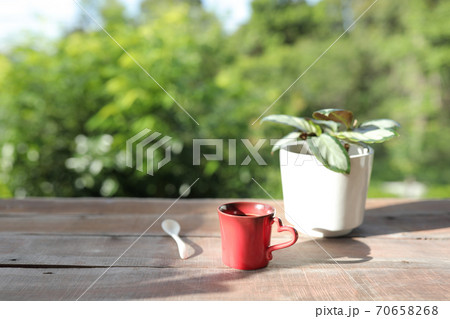 Red coffee mug with wooden spoon and plant pot on wooden table Red coffee mug with wooden spoon and plant pot on wooden table 70658268