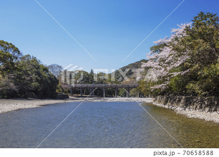 春の伊勢神宮 桜と五十鈴川と宇治橋 桜の季節の内宮さん 春の伊勢神宮 桜と五十鈴川と宇治橋 桜の季節の内宮さん 70658588