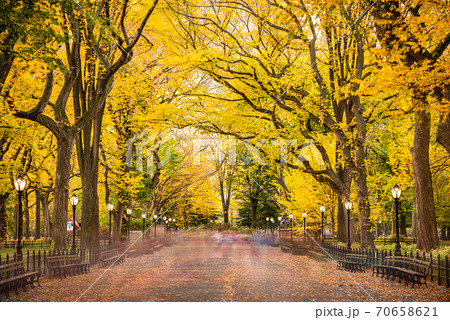 Central Park at The Mall in New York City 70658621