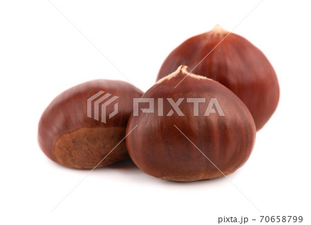 Fresh chestnuts isolated on white background. Hippocastanum or horse chestnuts. 70658799