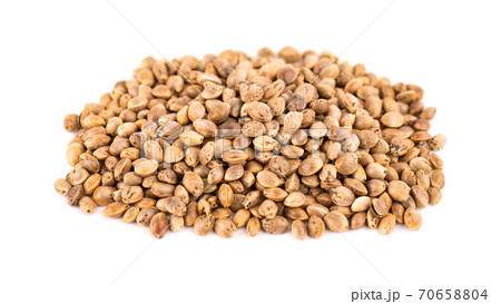 Hemp seeds isolated on white background. Dry seeds of cannabis, hemp or marijuana. 70658804