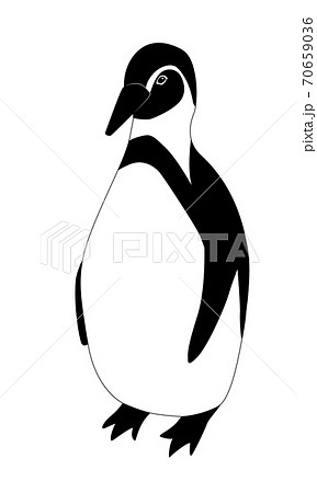 白黒のペンギンのベクター画像のイラスト素材