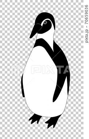 白黒のペンギンのベクター画像のイラスト素材