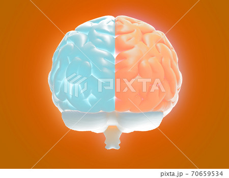 3D rendering hemispheres left and right cerebral brain on orange BG 70659534