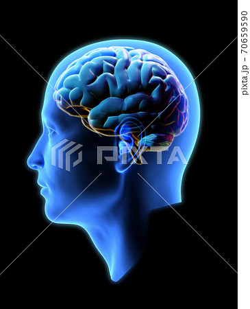 3D human head with brain inside on dark BG 70659590