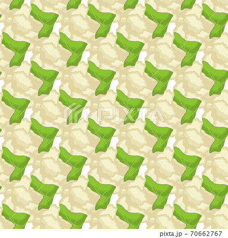 Illustration on theme of bright pattern cabbage Illustration on theme of bright pattern cabbage 70662767