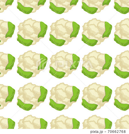 Illustration on theme of bright pattern cabbage Illustration on theme of bright pattern cabbage 70662768