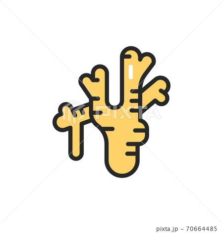 Ginger root color line icon. Spices, seasoning.  70664485