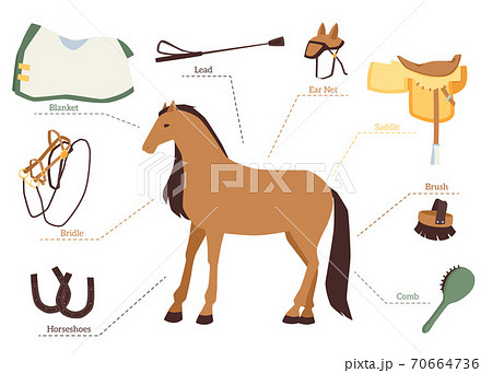 Set of horse care and equestrian ride icons flat vector illustration isolated. Set of horse care and equestrian ride icons flat vector illustration isolated. 70664736