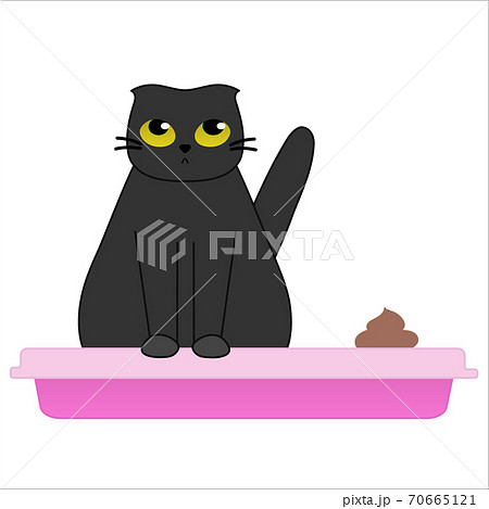 Cat In The Litter Box Cute Black Kitten のイラスト素材