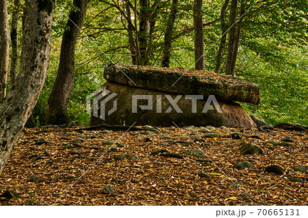 ancient megalith dolmen among trees in an autumn grove ancient megalith dolmen among trees in an autumn grove 70665131