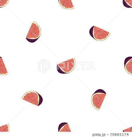 Illustration on theme big colored seamless purple fig Illustration on theme big colored seamless purple fig 70665174