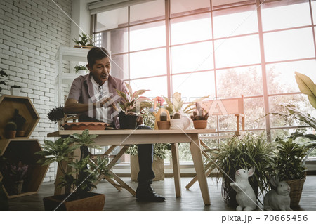 Senior gardener working in his houseplant workshop for his small business in plants shop. Senior gardener working in his houseplant workshop for his small business in plants shop. 70665456