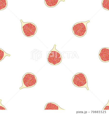 Illustration on theme big colored seamless purple fig 70665525