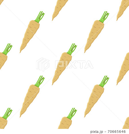 Illustration on theme of pattern plant parsnip Illustration on theme of pattern plant parsnip 70665646