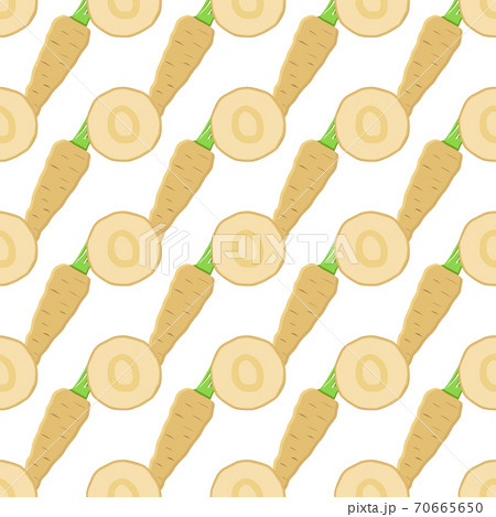 Illustration on theme of pattern plant parsnip 70665650