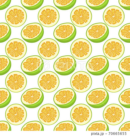 Illustration on theme big colored seamless pomelo 70665655
