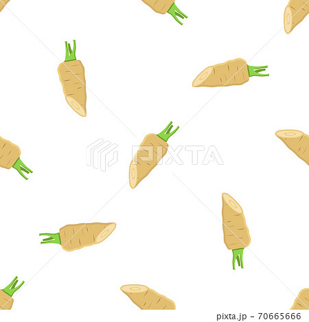 Illustration on theme of pattern plant parsnip Illustration on theme of pattern plant parsnip 70665666