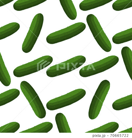 Illustration on theme of bright pattern green cucumber 70665722