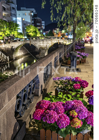 長崎県長崎市 紫陽花と眼鏡橋の夜景の写真素材