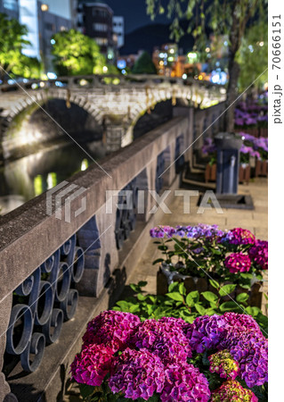 長崎県長崎市 紫陽花と眼鏡橋の夜景の写真素材